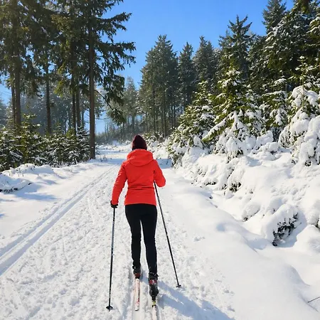 Alewidok - Na Wynajem Z Widokiem Na Gory Sowie