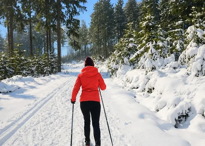 Alewidok - Na Wynajem Z Widokiem Na Gory Sowie